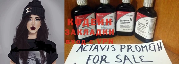 эйфоретик Алзамай