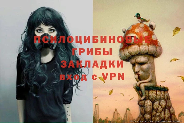 гидропоника Алексин